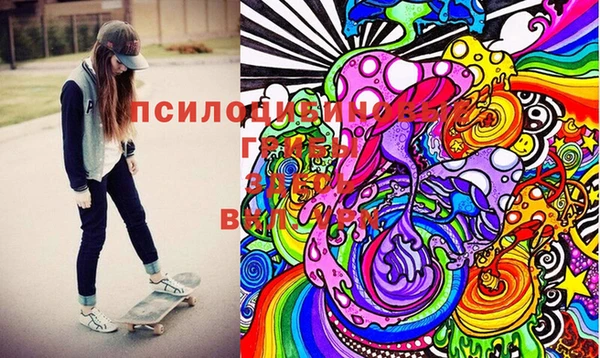 ГАЛЛЮЦИНОГЕННЫЕ ГРИБЫ Абаза