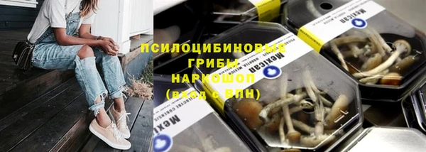 ГАЛЛЮЦИНОГЕННЫЕ ГРИБЫ Абаза